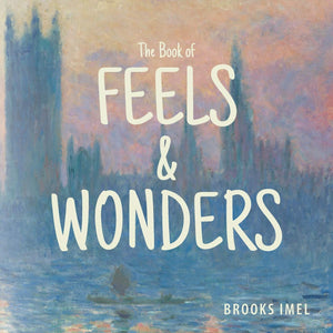 The Book of Feels & Wonders,Used
