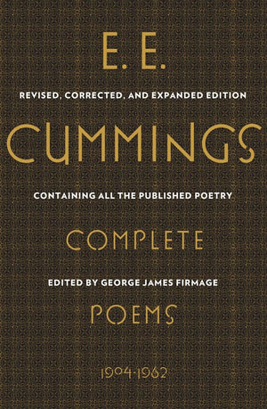 Complete Poems, 19041962 (Liveright Classics),Used