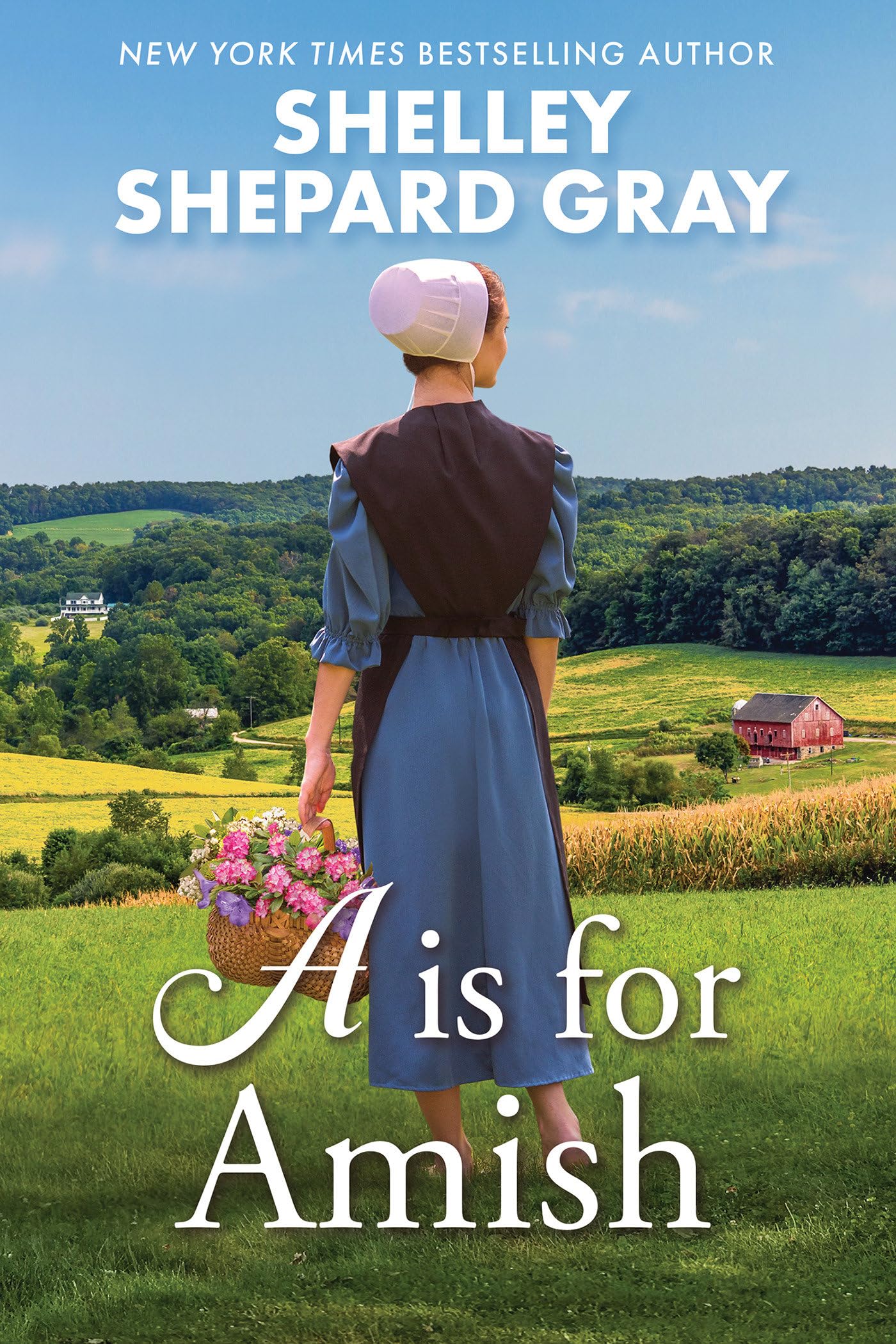 A Is For Amish (Amish Abcs),Used
