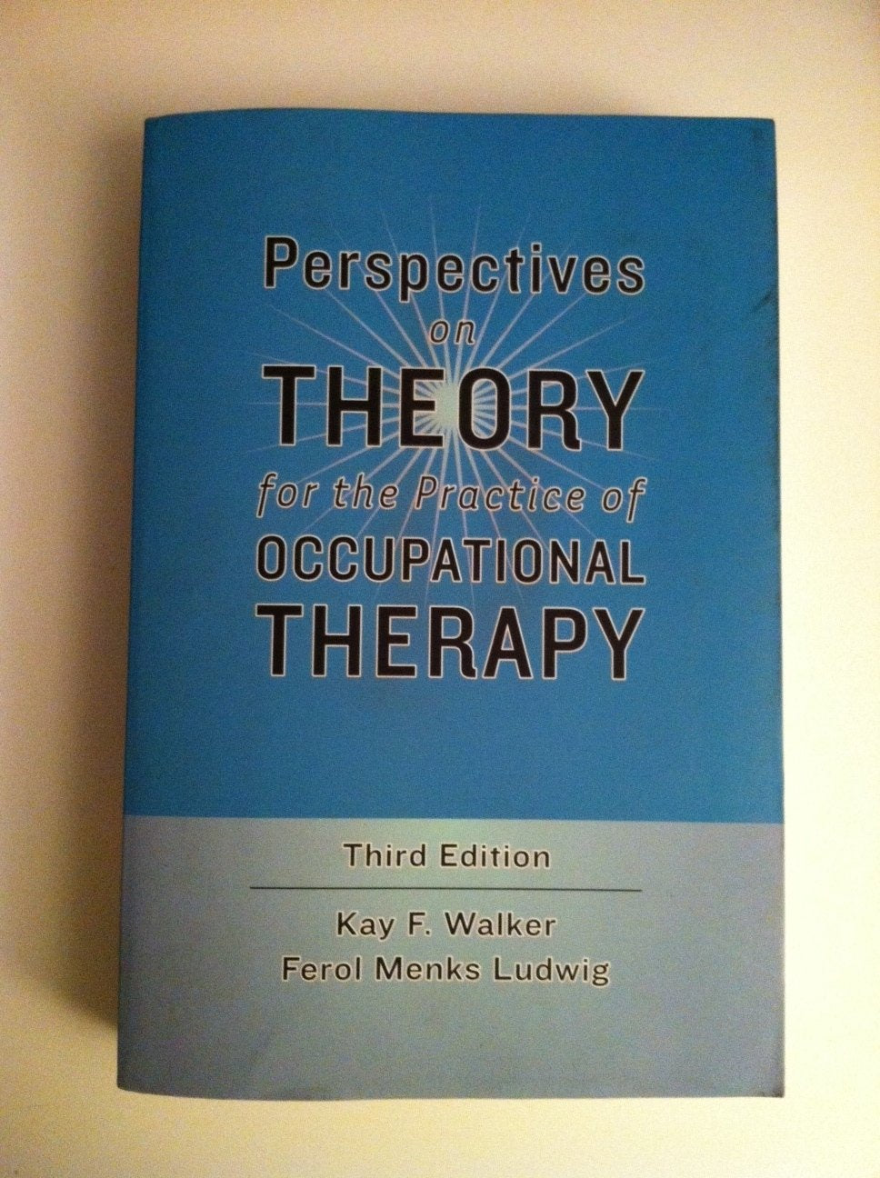 Perspectives on Theory for the Practice of Occupational Therapy,Used