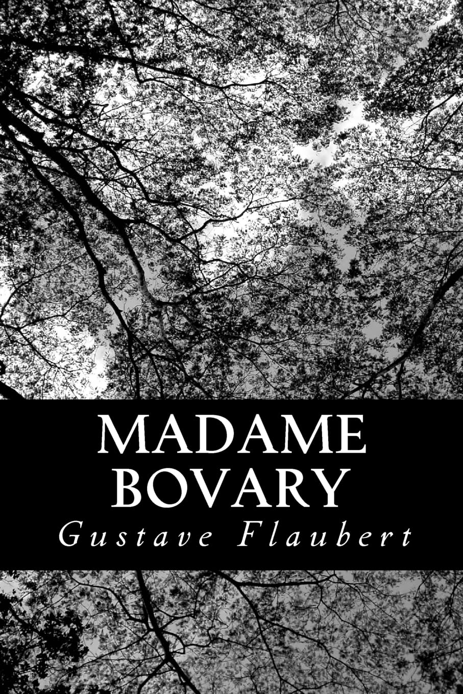 Madame Bovary (French Edition),Used