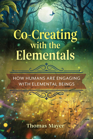 CoCreating With The Elementals: How Humans Are Engaging With Elemental Beings