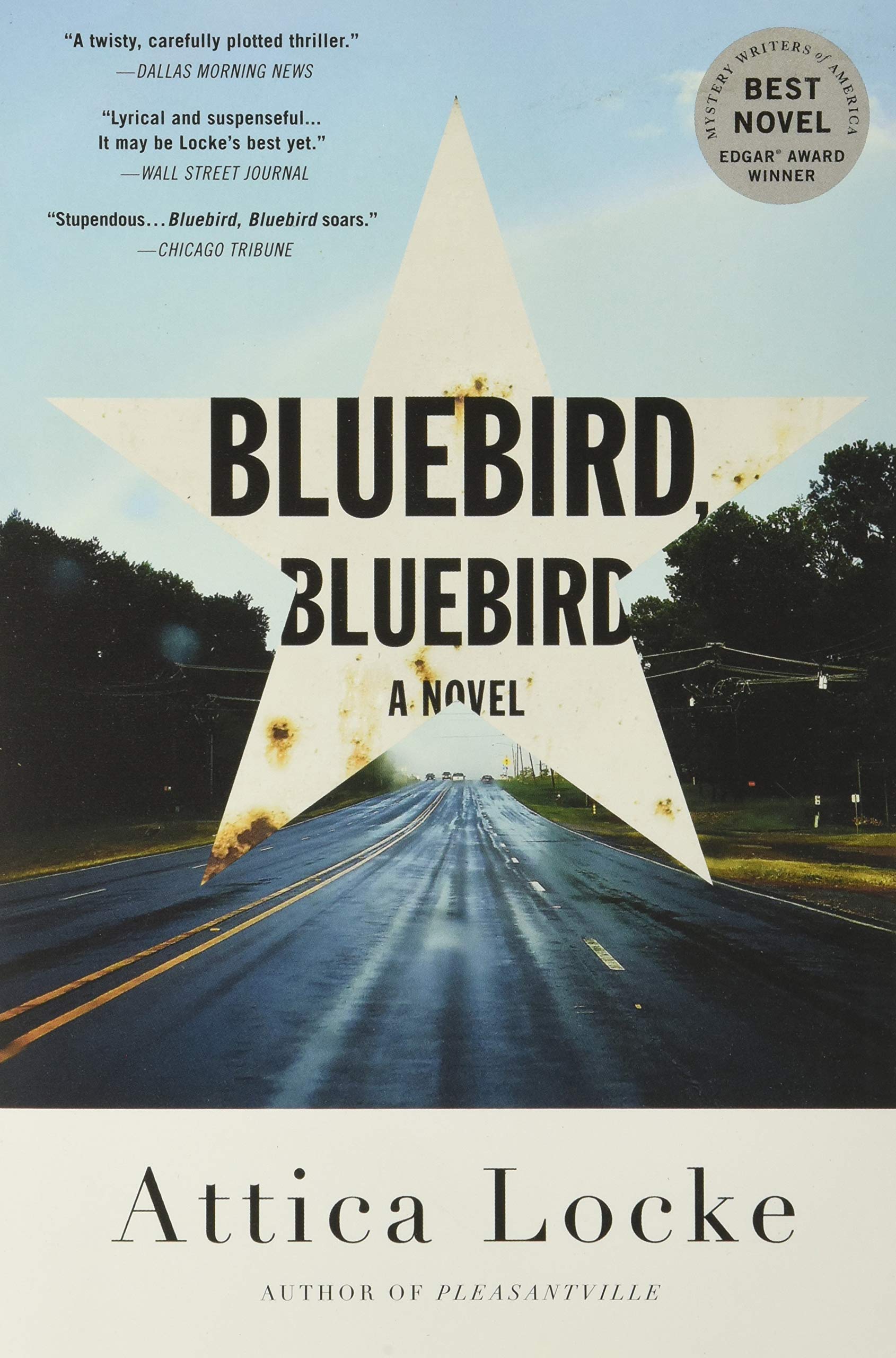 Bluebird, Bluebird (A Highway 59 Novel, 1),New
