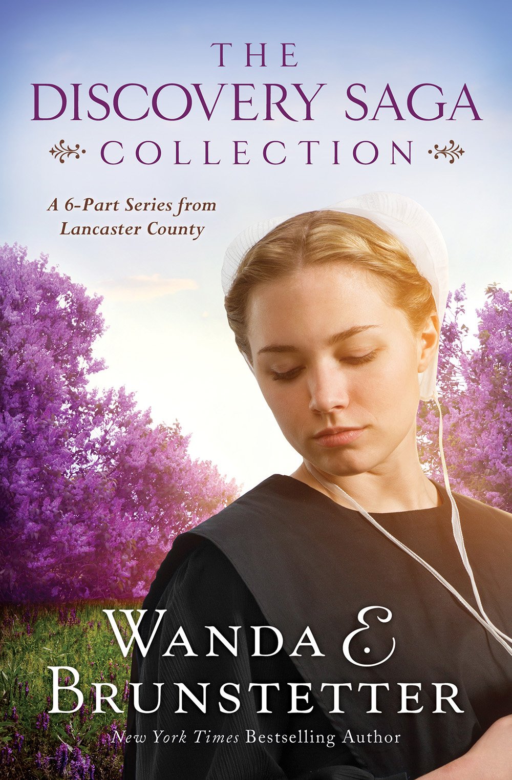 The Discovery Saga Collection: A 6Part Series from Lancaster County (The Discovery  A Lancaster County Saga),Used