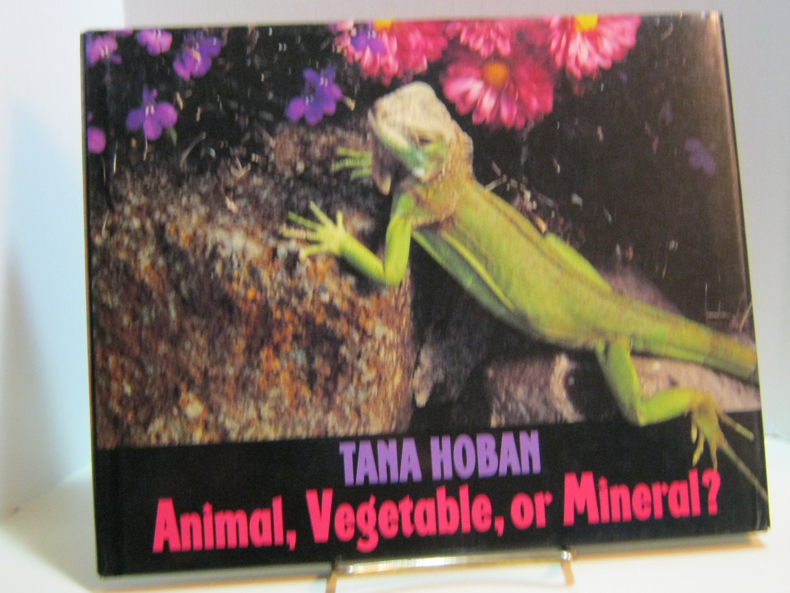 Animal, Vegetable, or Mineral?