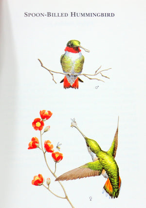 A Field Guide to LittleKnown and SeldomSeen Birds of North America,Used