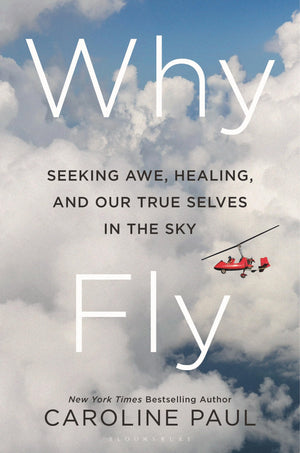 Why Fly: Seeking Awe, Healing, And Our True Selves In The Sky
