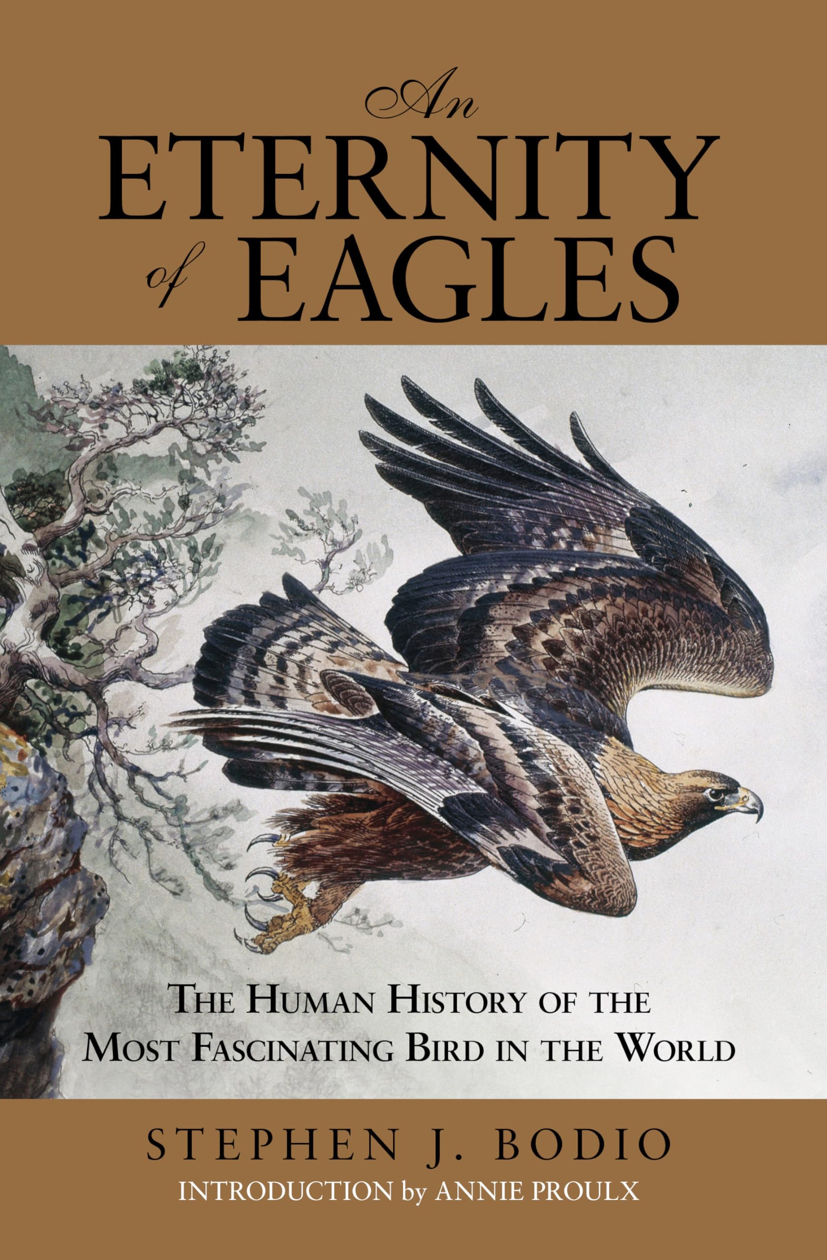 Eternity of Eagles: The Human History Of The Most Fascinating Bird In The World,Used