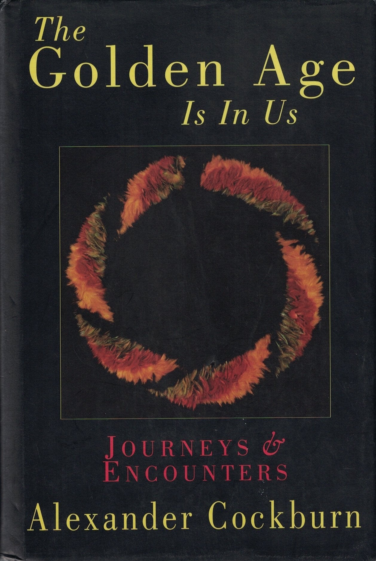 The Golden Age Is in Us: Journeys & Encounters 19871994,Used