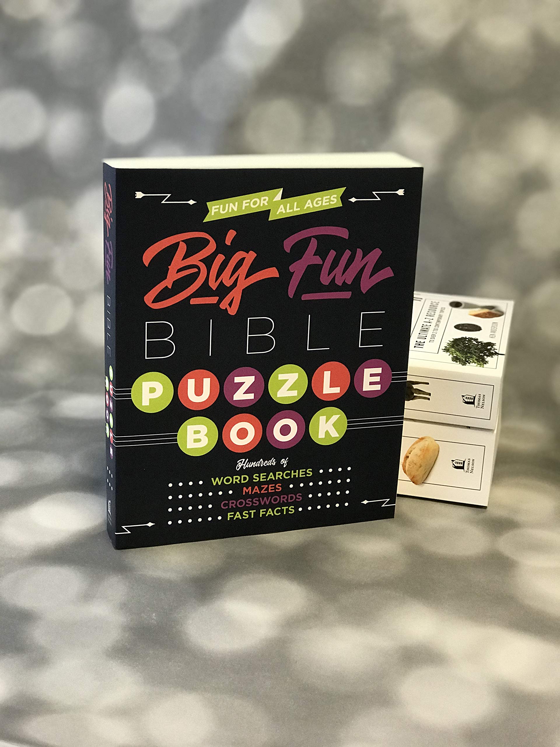 Big Fun Bible Puzzle Book,Used