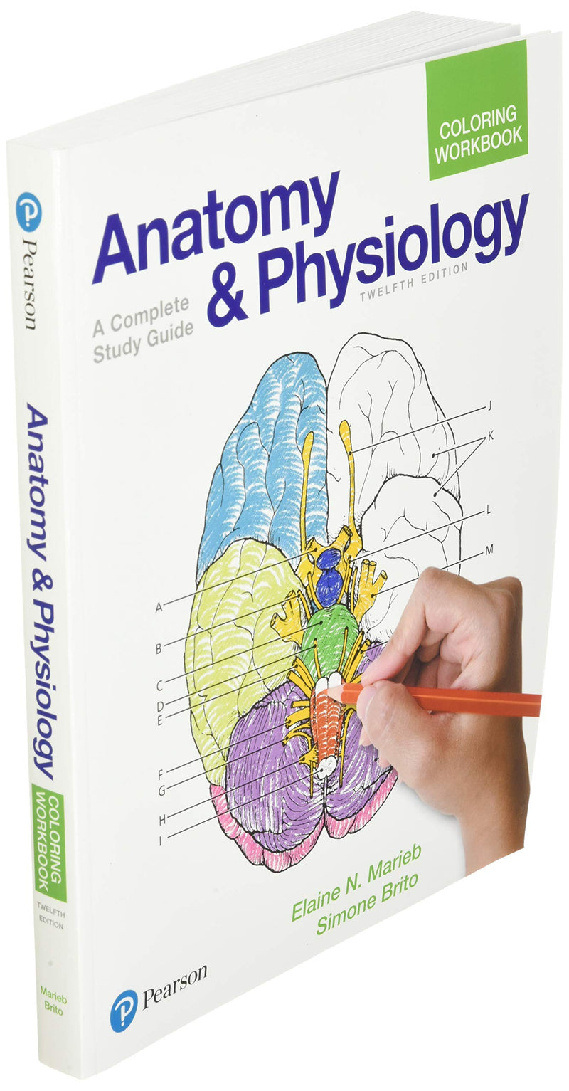 Anatomy and Physiology Coloring Workbook: A Complete Study Guide,New