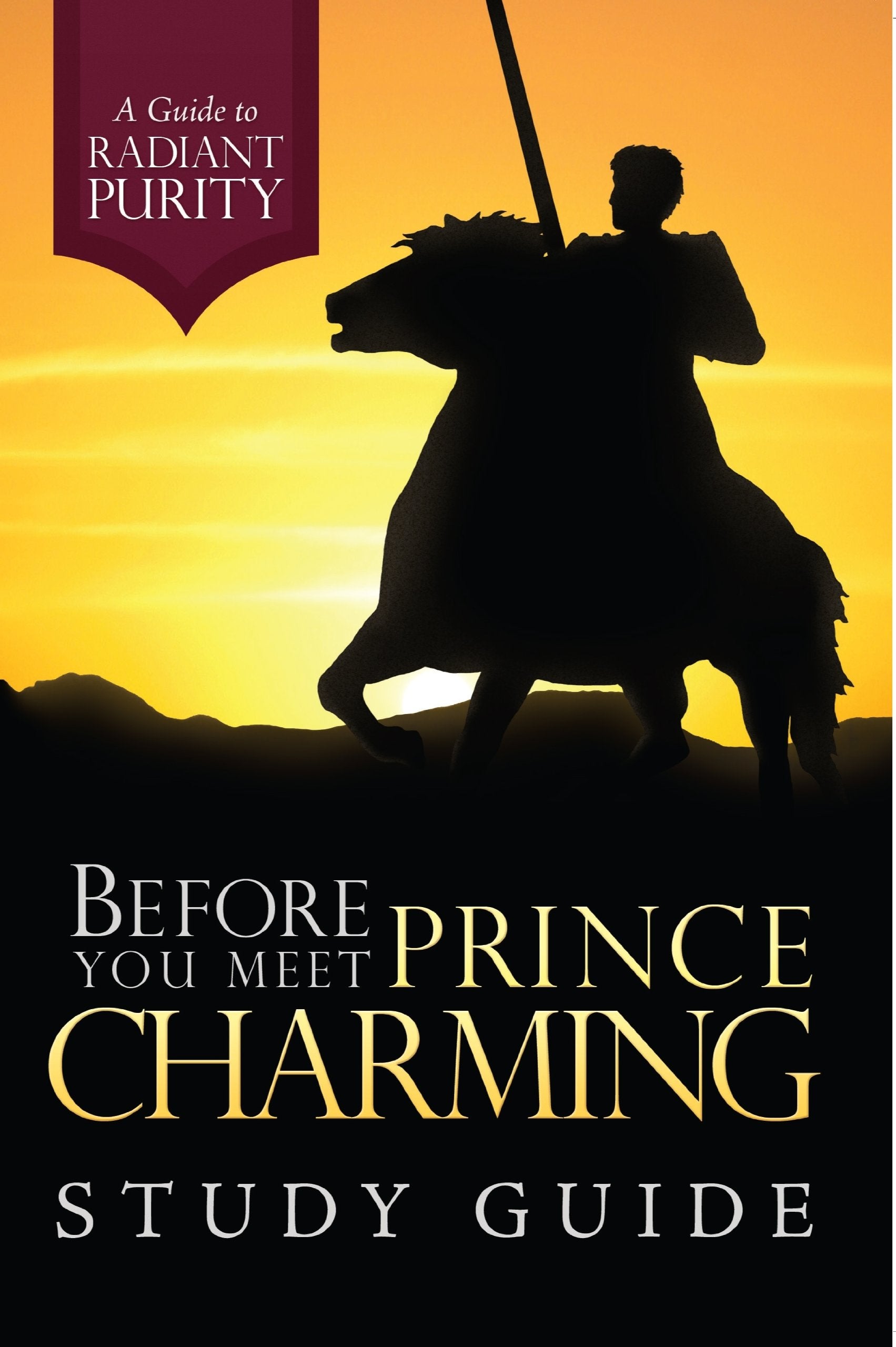 Before You Meet Prince Charming: A Guide to Radiant Purity Study Guide,Used