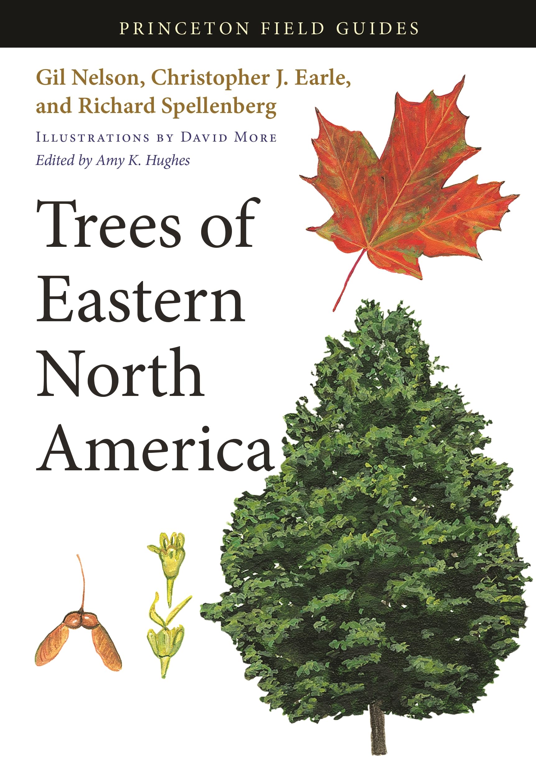 Trees of Eastern North America (Princeton Field Guides),Used
