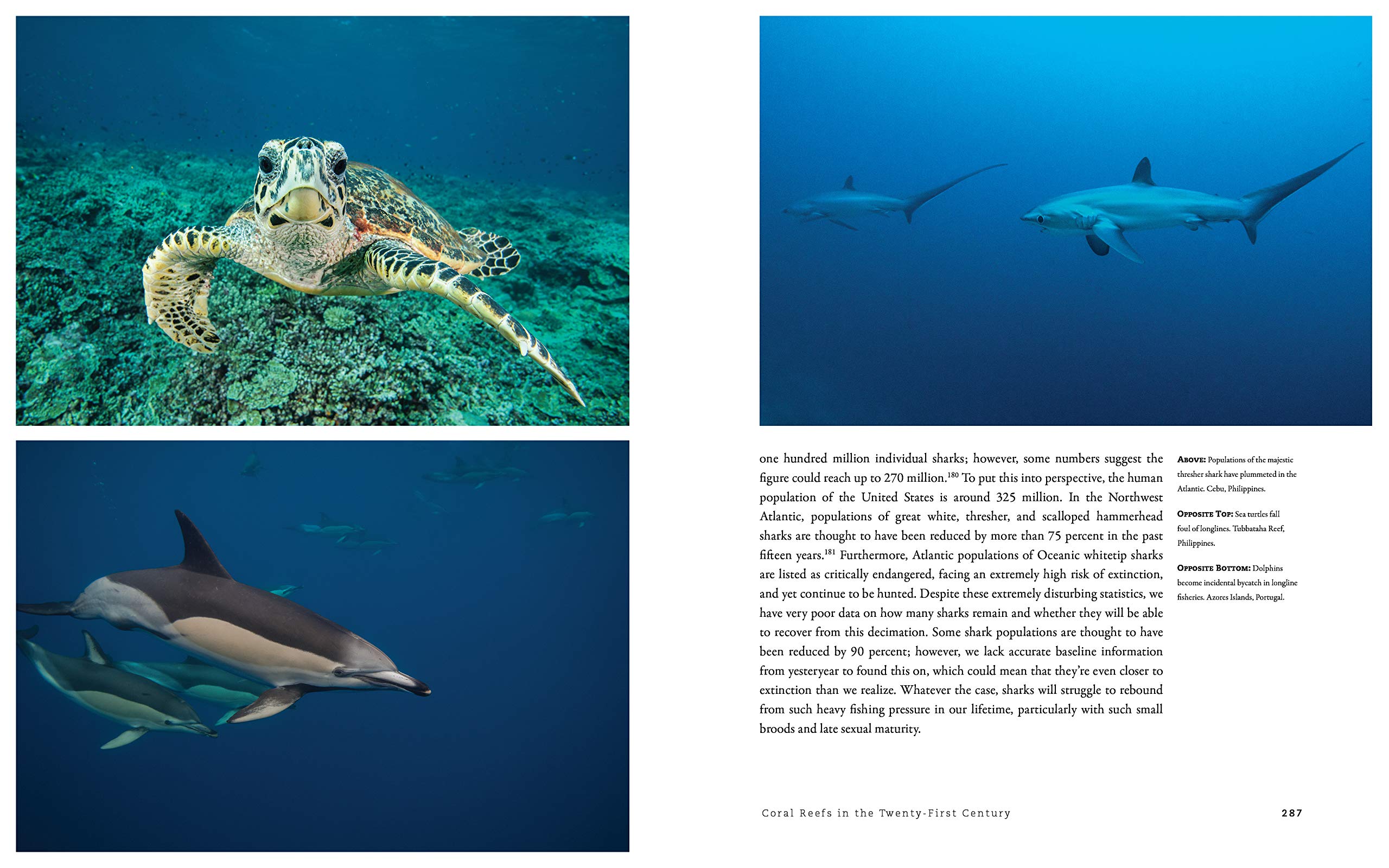 The World Beneath: The Life and Times of Unknown Sea Creatures and Coral Reefs,Used