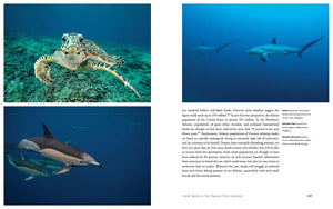 The World Beneath: The Life and Times of Unknown Sea Creatures and Coral Reefs,Used