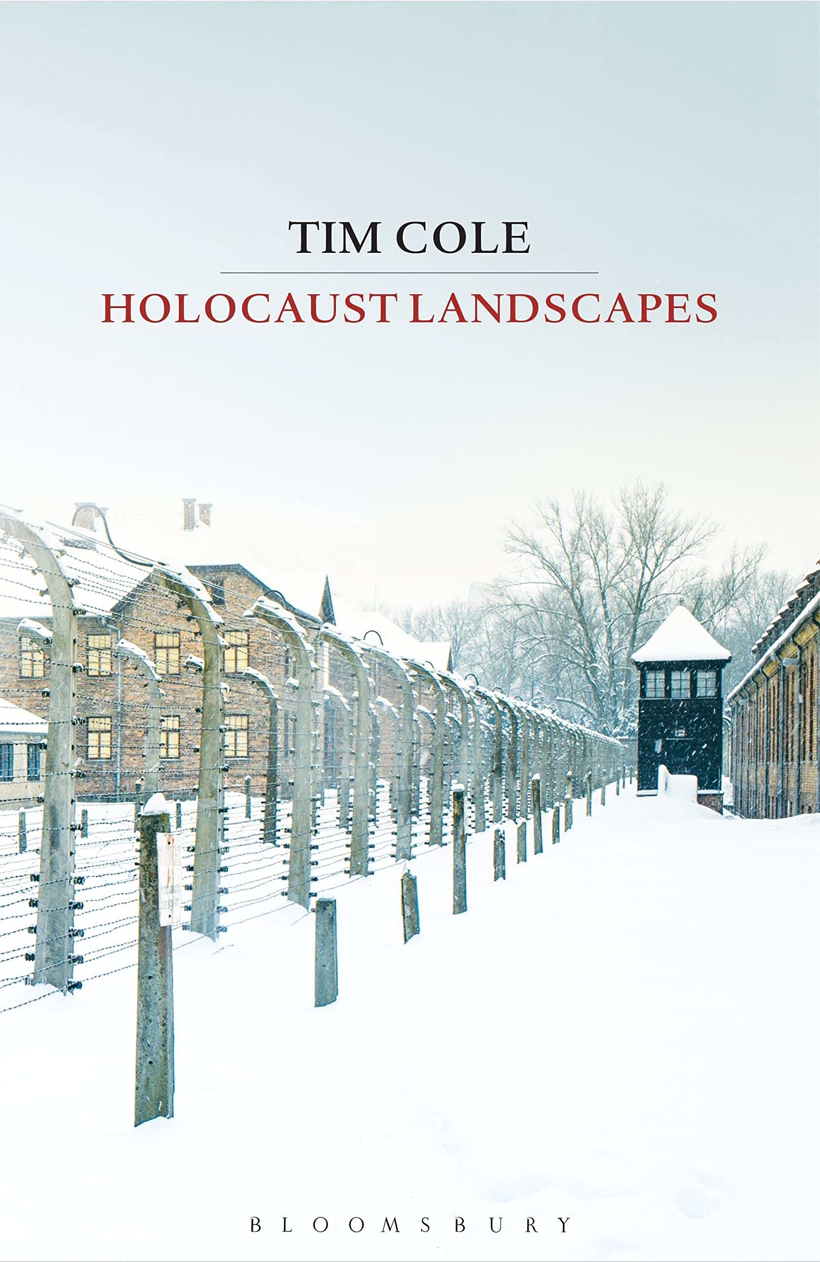 Holocaust Landscapes,Used
