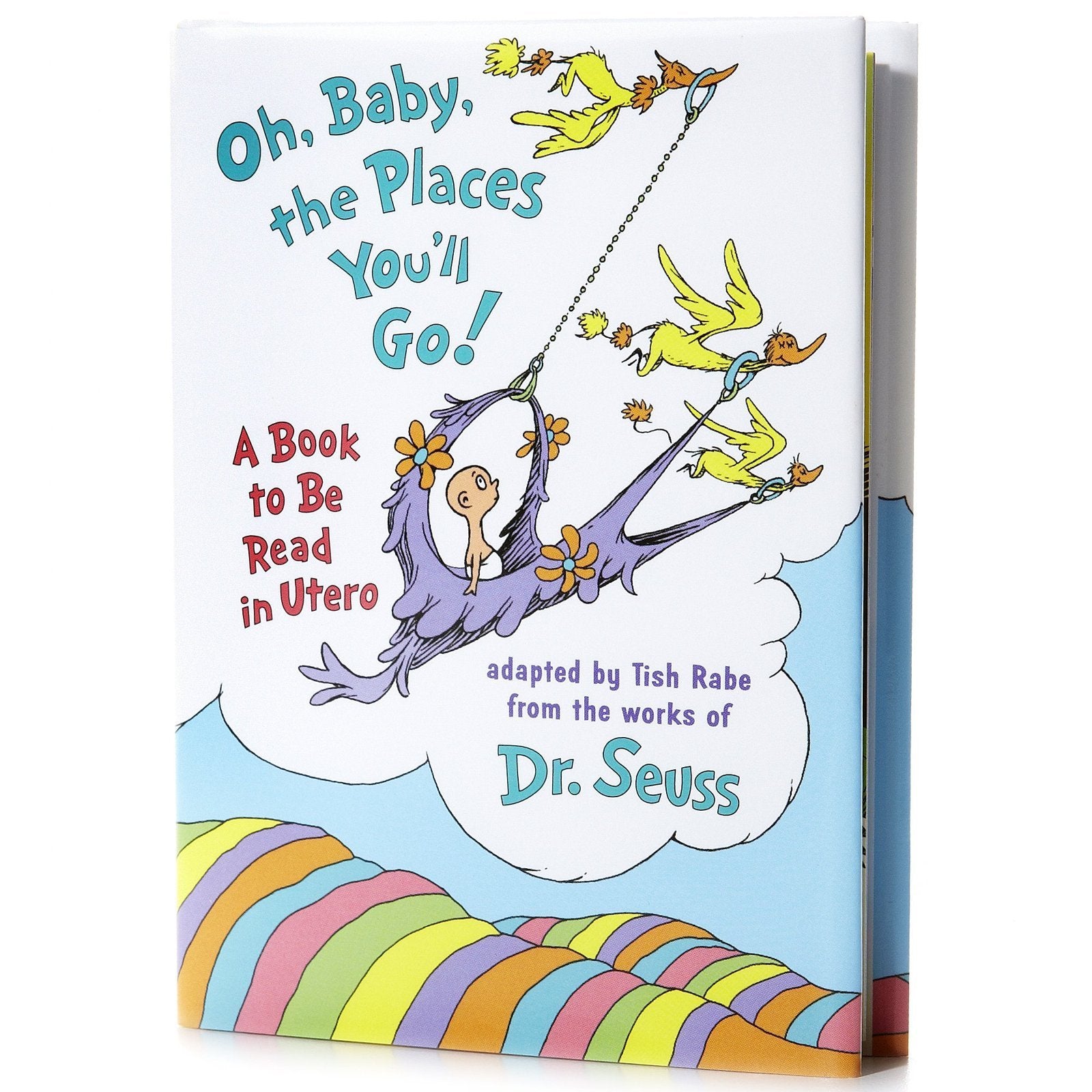 Oh, Baby, The Places You'Ll Go! [Mini Edition]