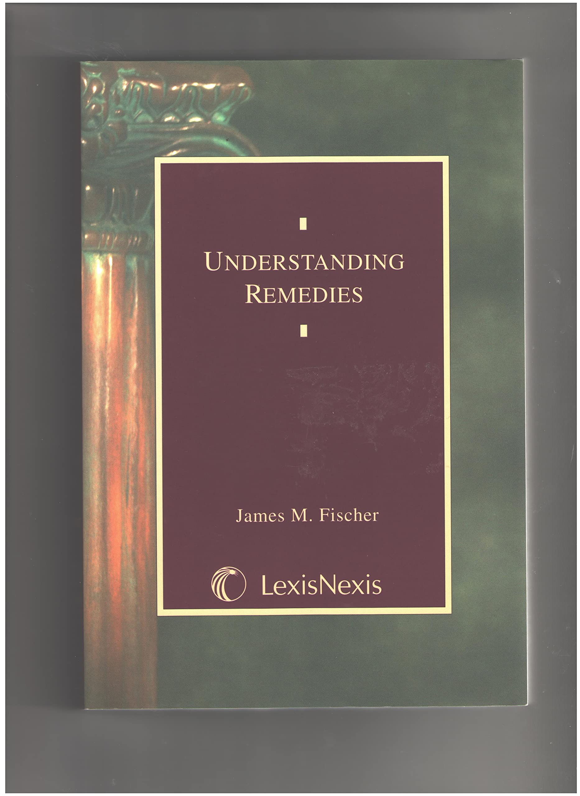 Understanding Remedies,Used
