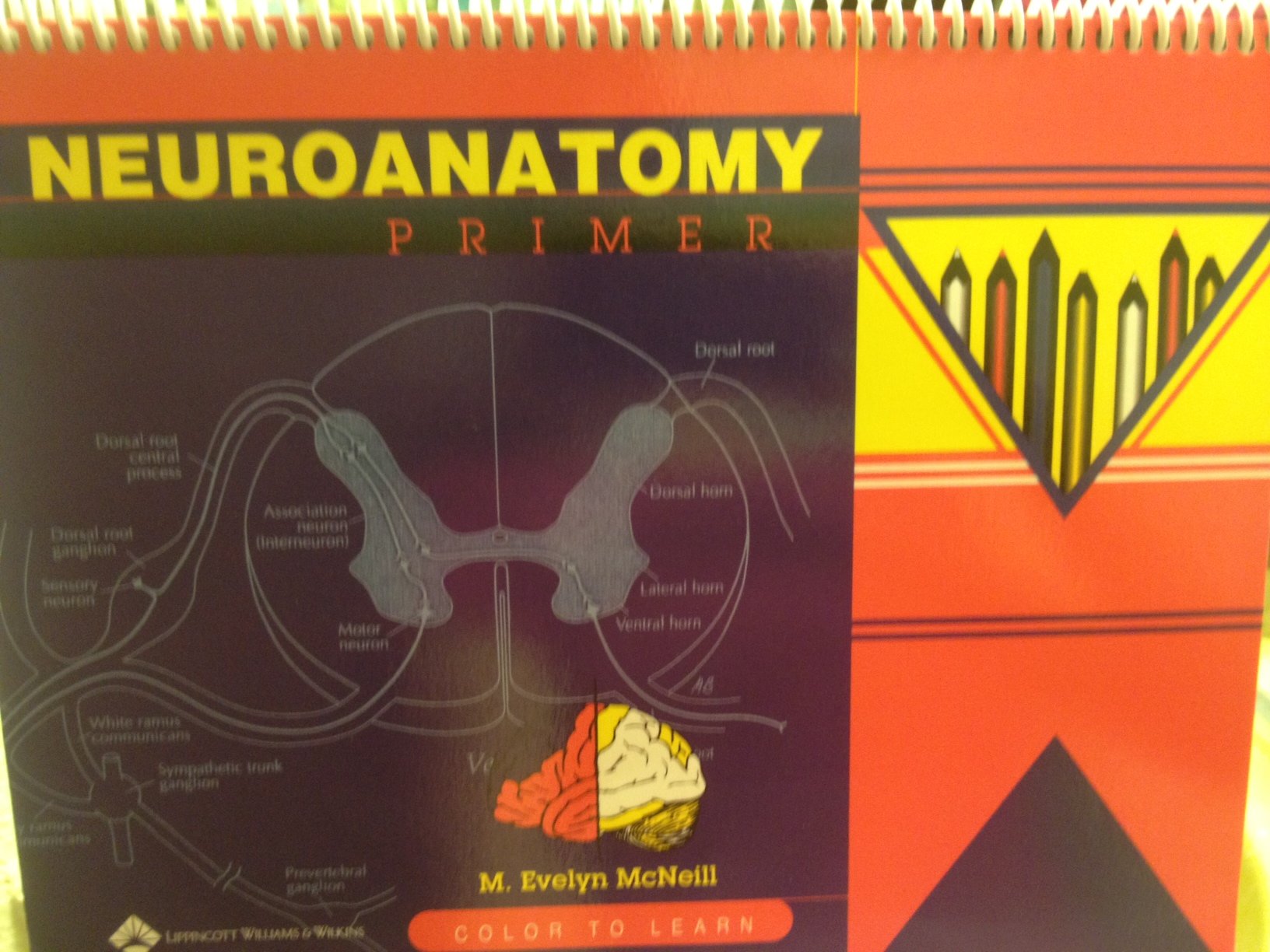 Neuroanatomy Primer: Color to Learn,Used