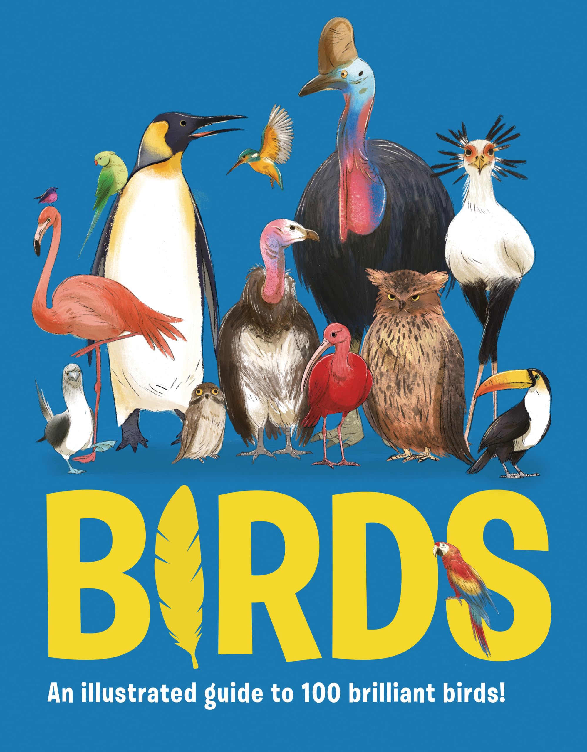 Birds: An Illustrated Guide To 100 Brilliant Birds