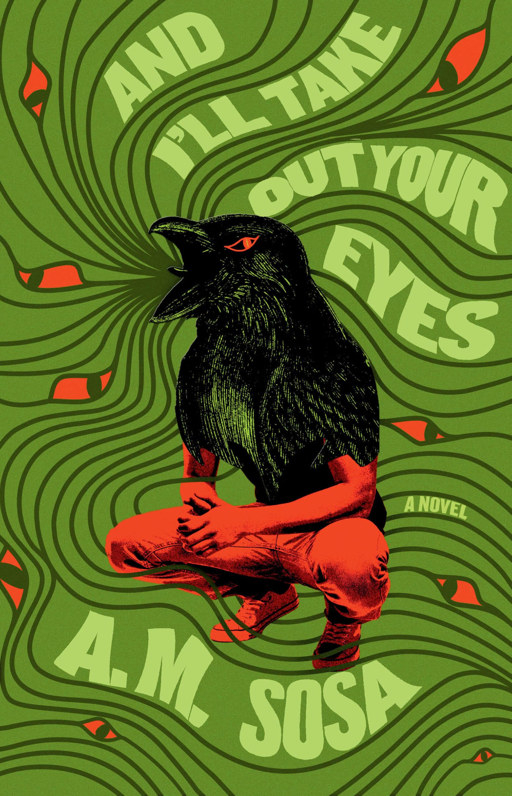 And ILl Take Out Your Eyes: A Novel