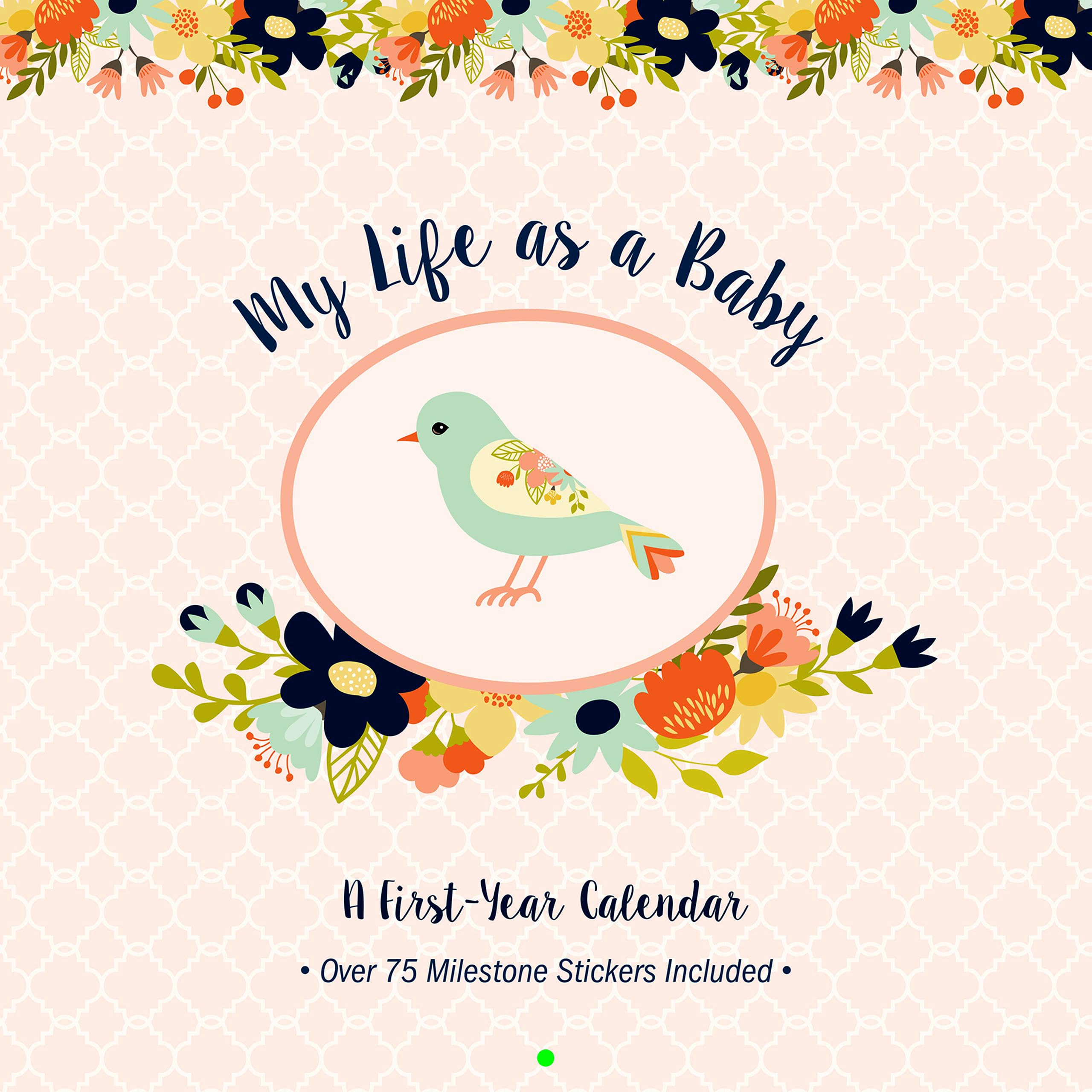 My Life as a Baby: A FirstYear Calendar (Birds),Used