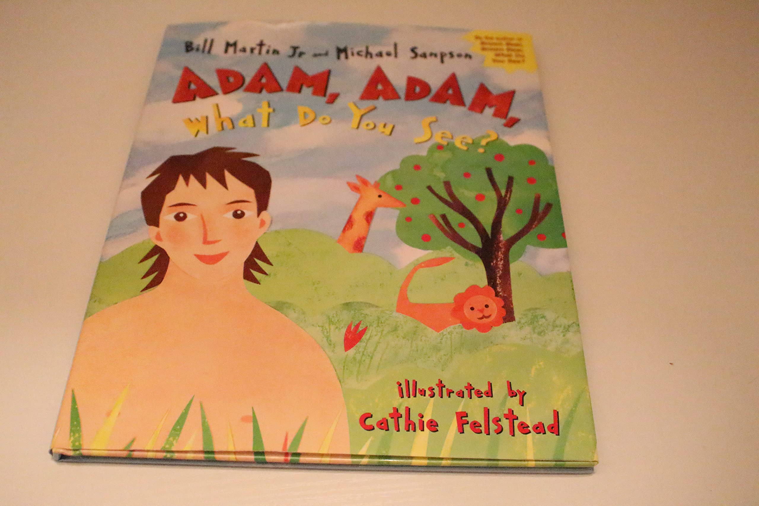 Adam, Adam What Do You See?,Used