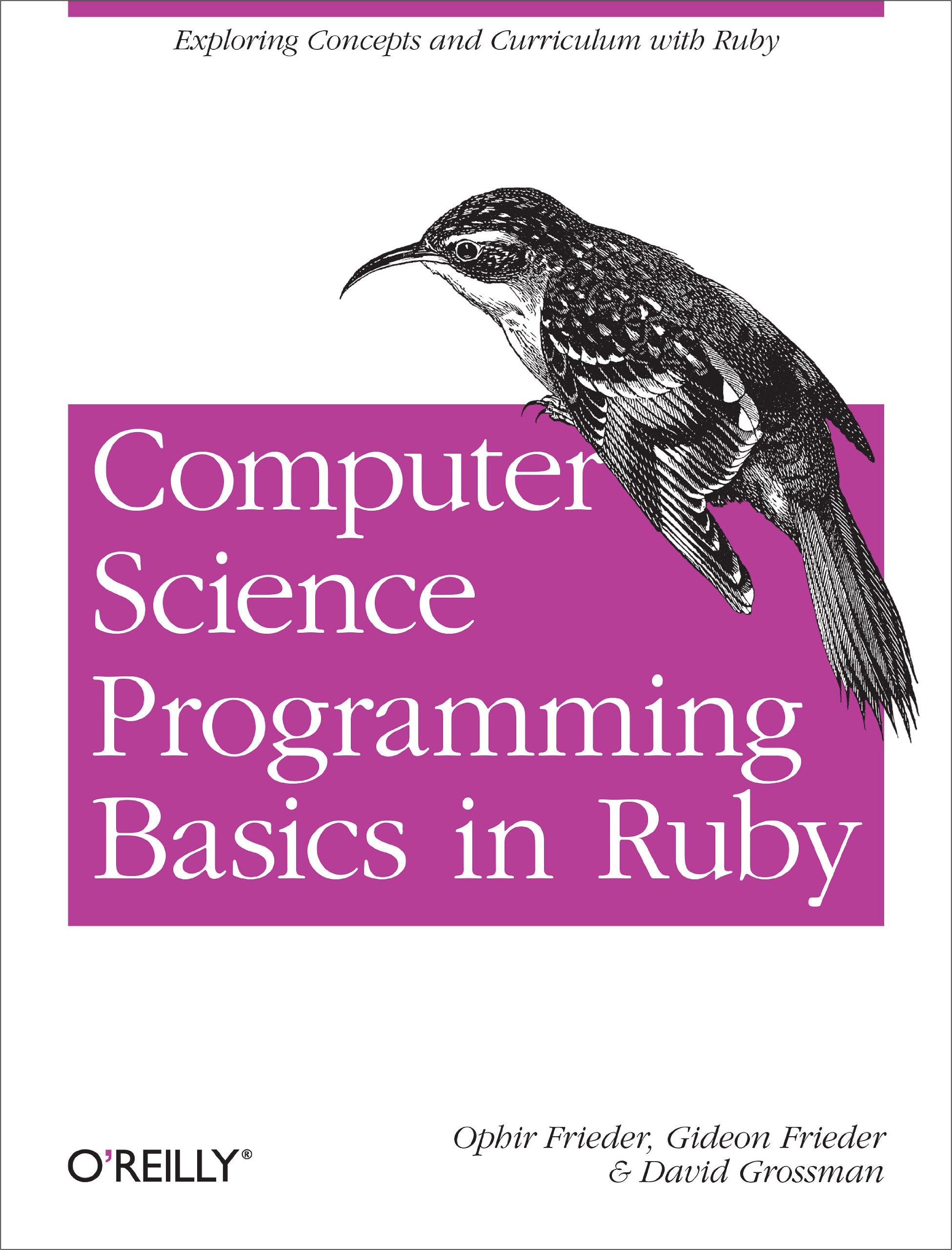 Computer Science Programming Basics in Ruby: Exploring Concepts and Curriculum with Ruby,Used