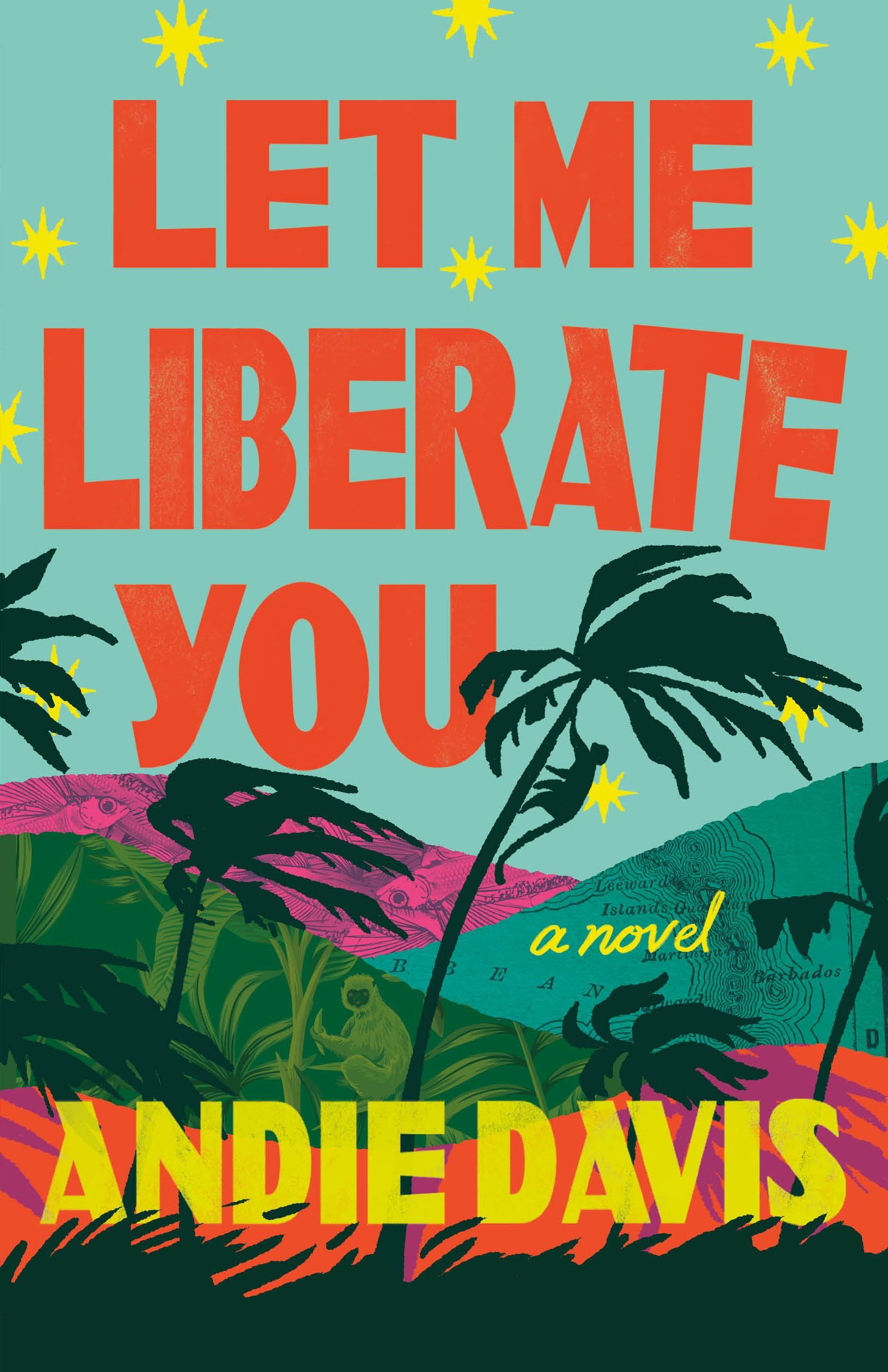 Let Me Liberate You: A Novel,New