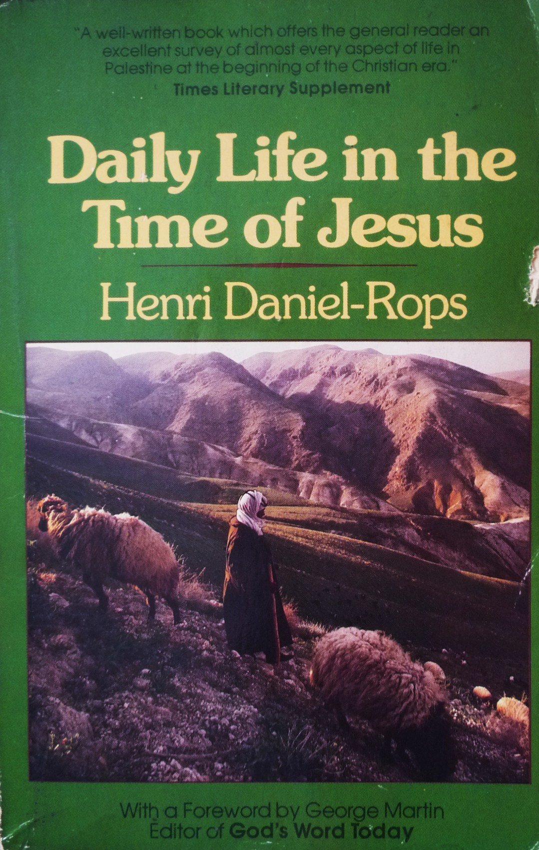 Daily Life in the Time of Jesus,New