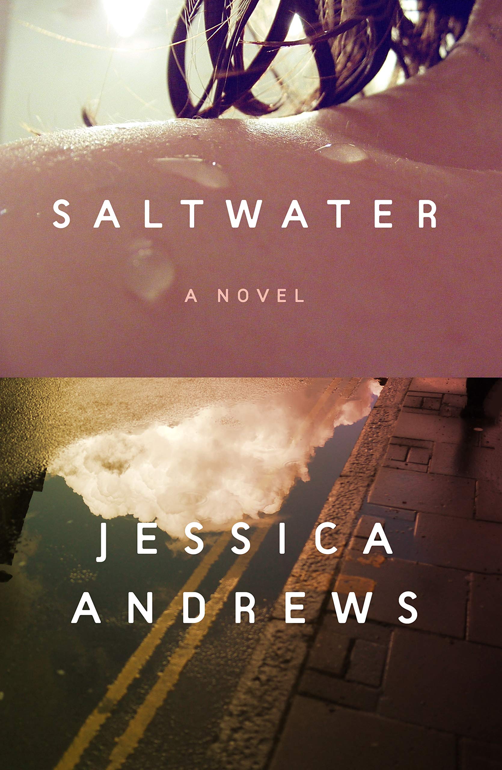 Saltwater: A Novel,Used