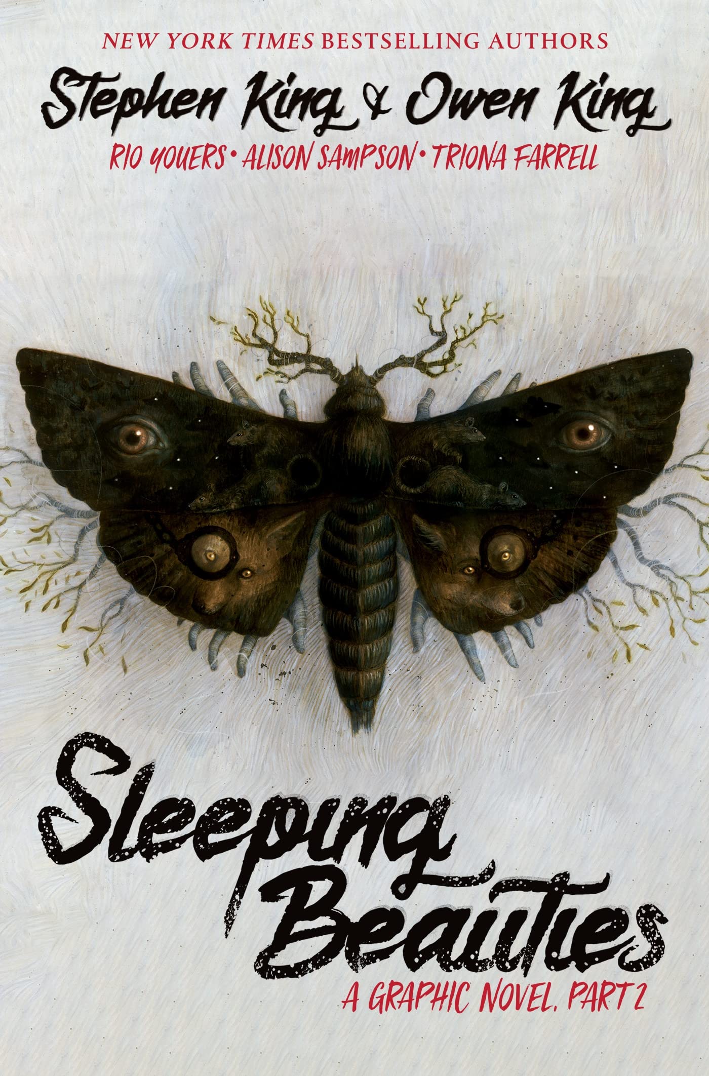 Sleeping Beauties, Vol. 2 (Graphic Novel),Used