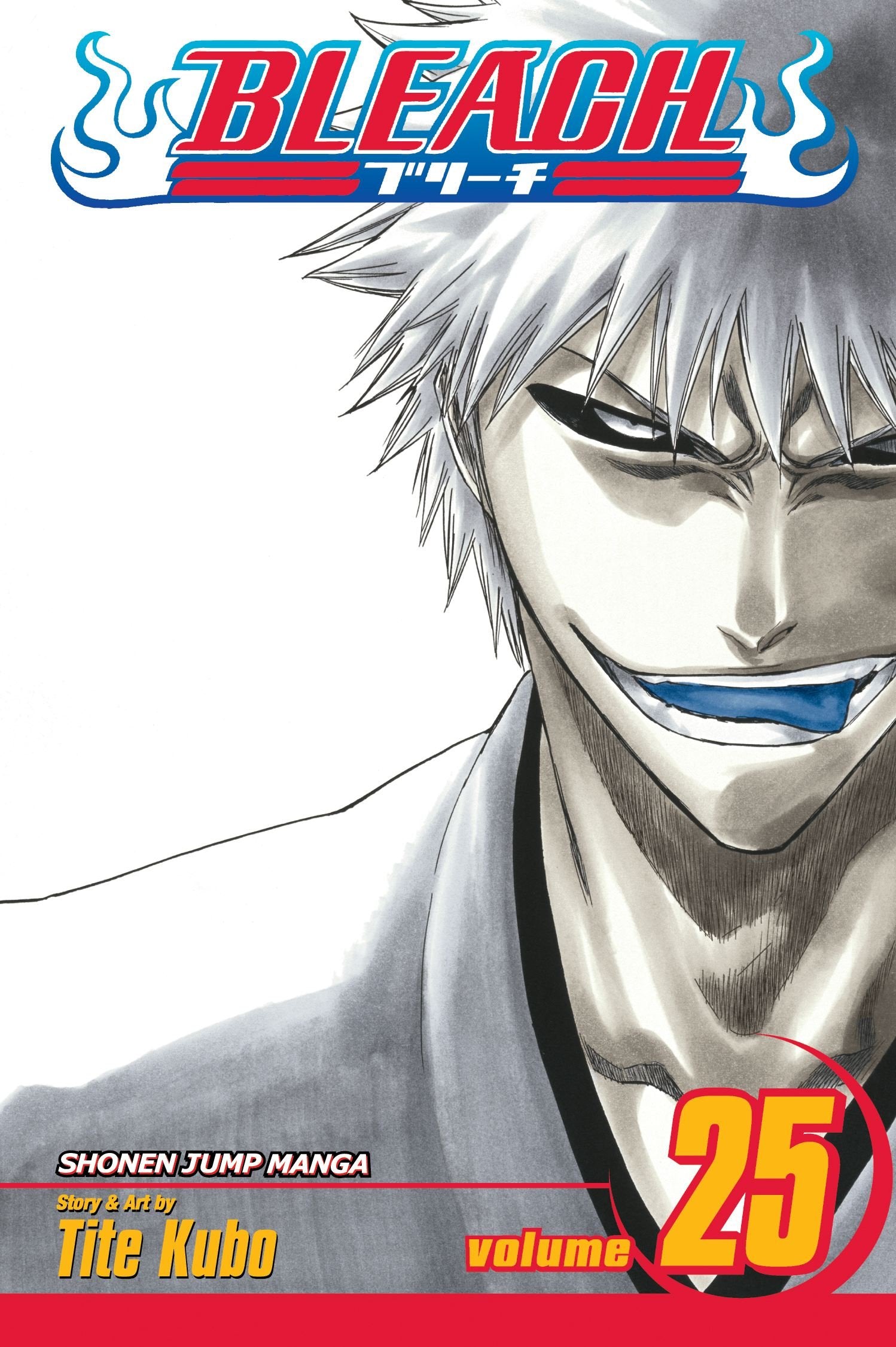 Bleach, Vol. 25,Used
