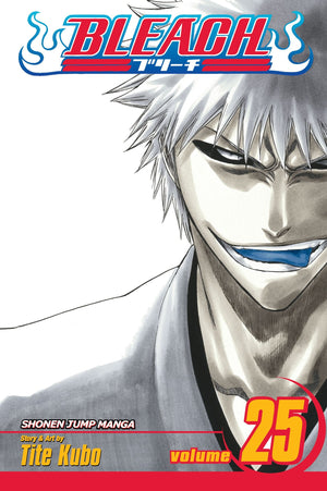 Bleach, Vol. 25,Used