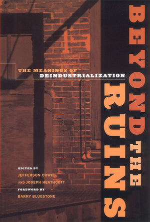 Beyond the Ruins: The Meanings of Deindustrialization (Ilr Press Books),New