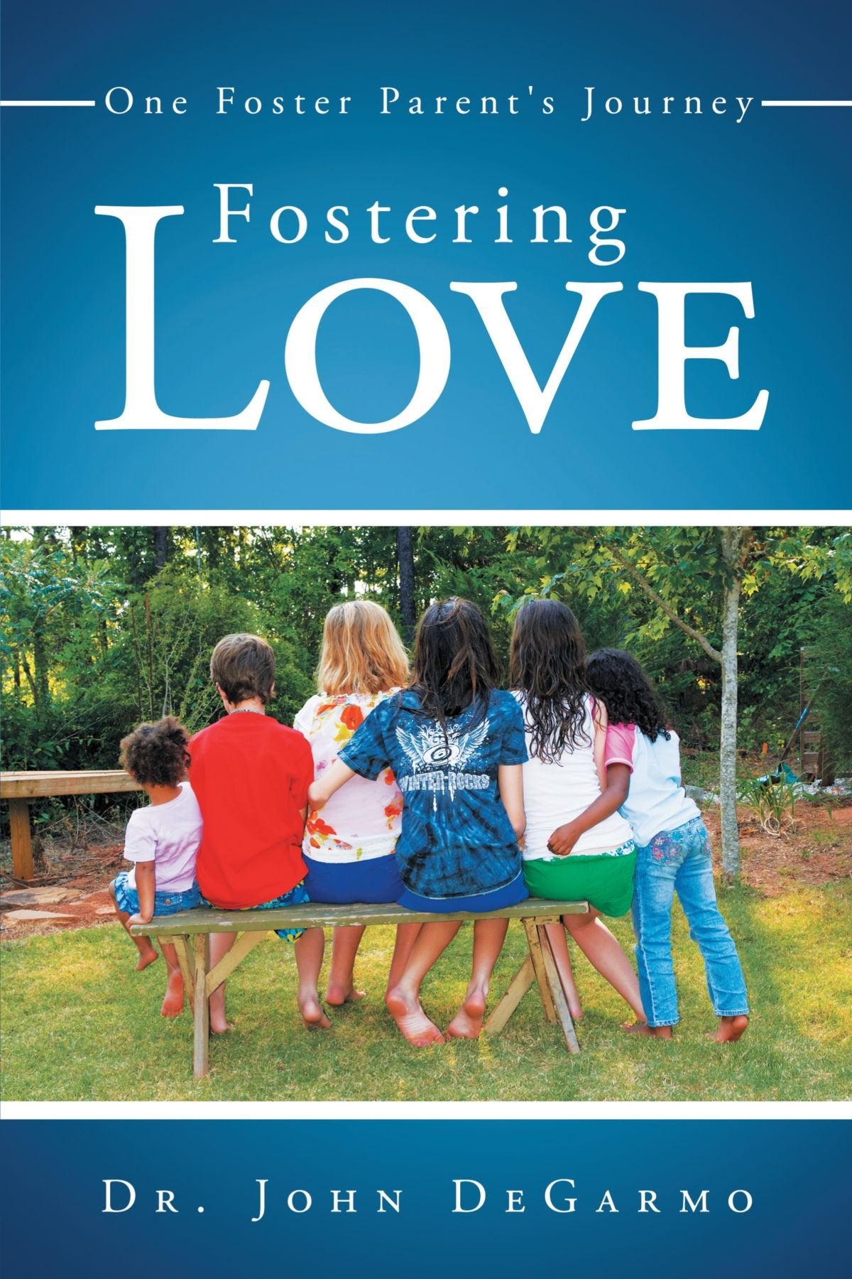 Fostering Love: One Foster Parent's Journey,Used