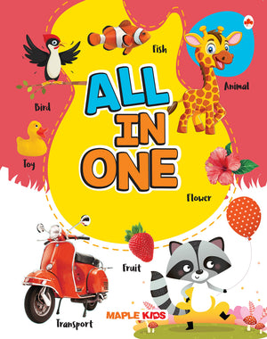 All In One - Picture Book For Kids And Early Learners  Vocabulary With 500 Words On Various Topics