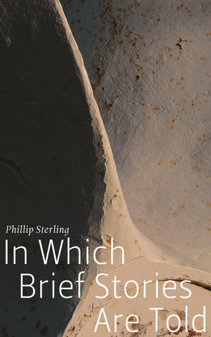 In Which Brief Stories Are Told (Made In Michigan Writer Series),New