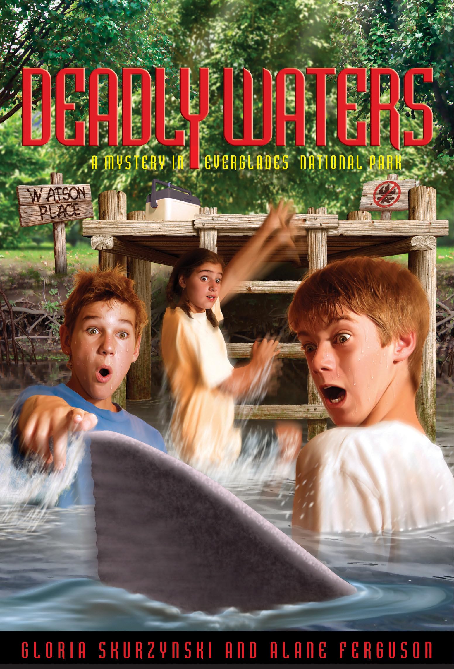 Mysteries in Our National Parks: Deadly Waters: A Mystery in Everglades National Park,Used