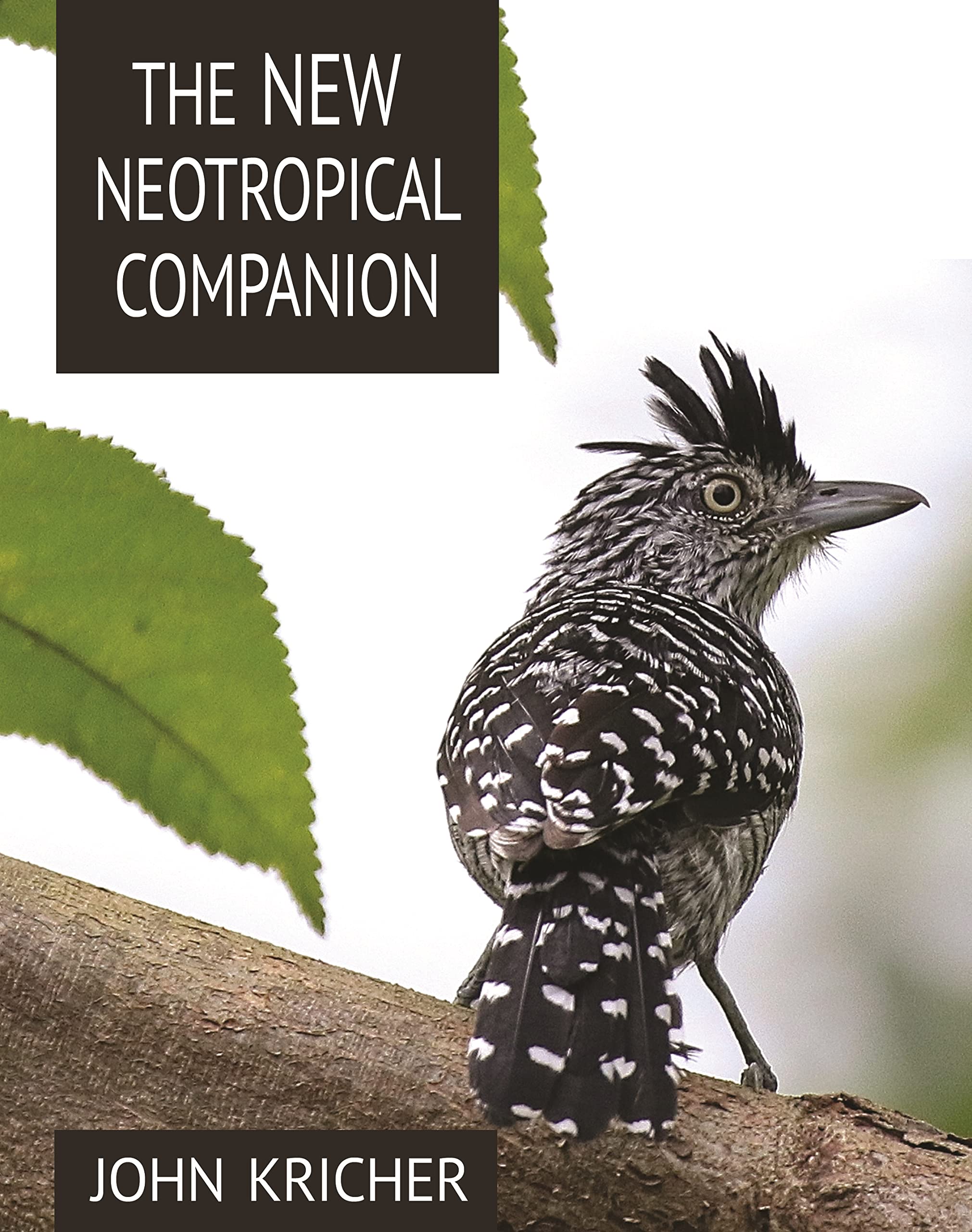 The New Neotropical Companion,Used