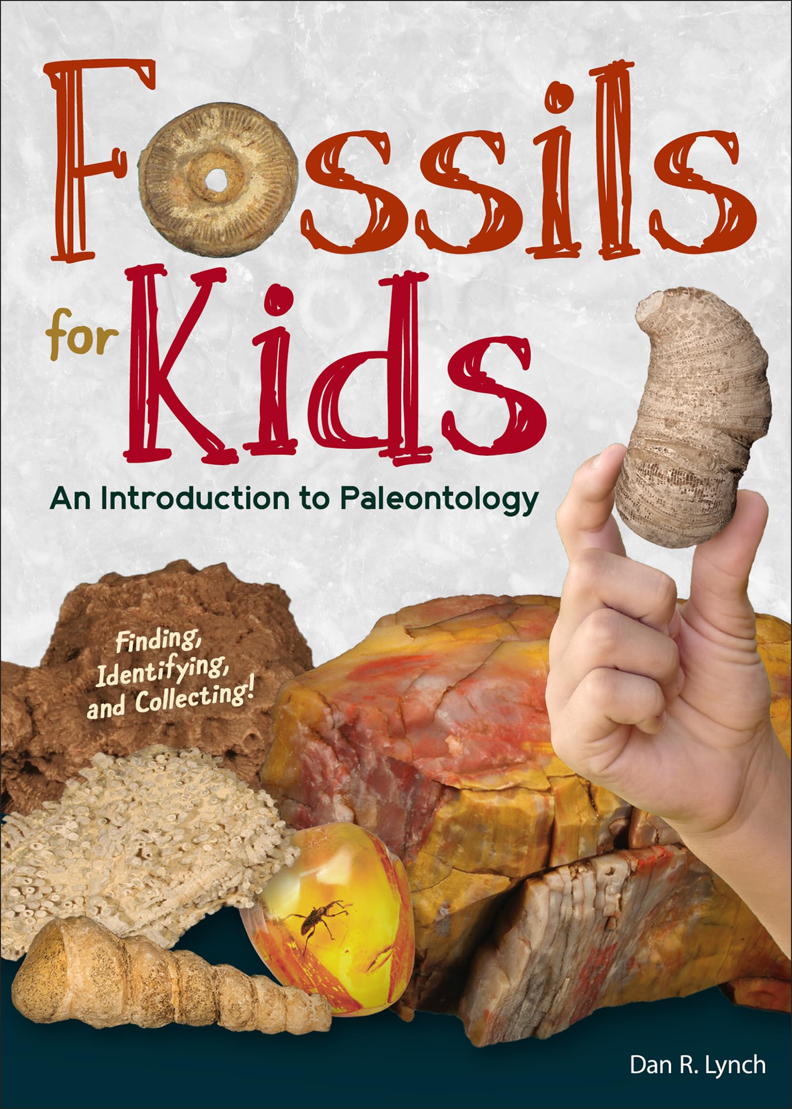 Fossils for Kids: An Introduction to Paleontology (Simple Introductions to Science),Used
