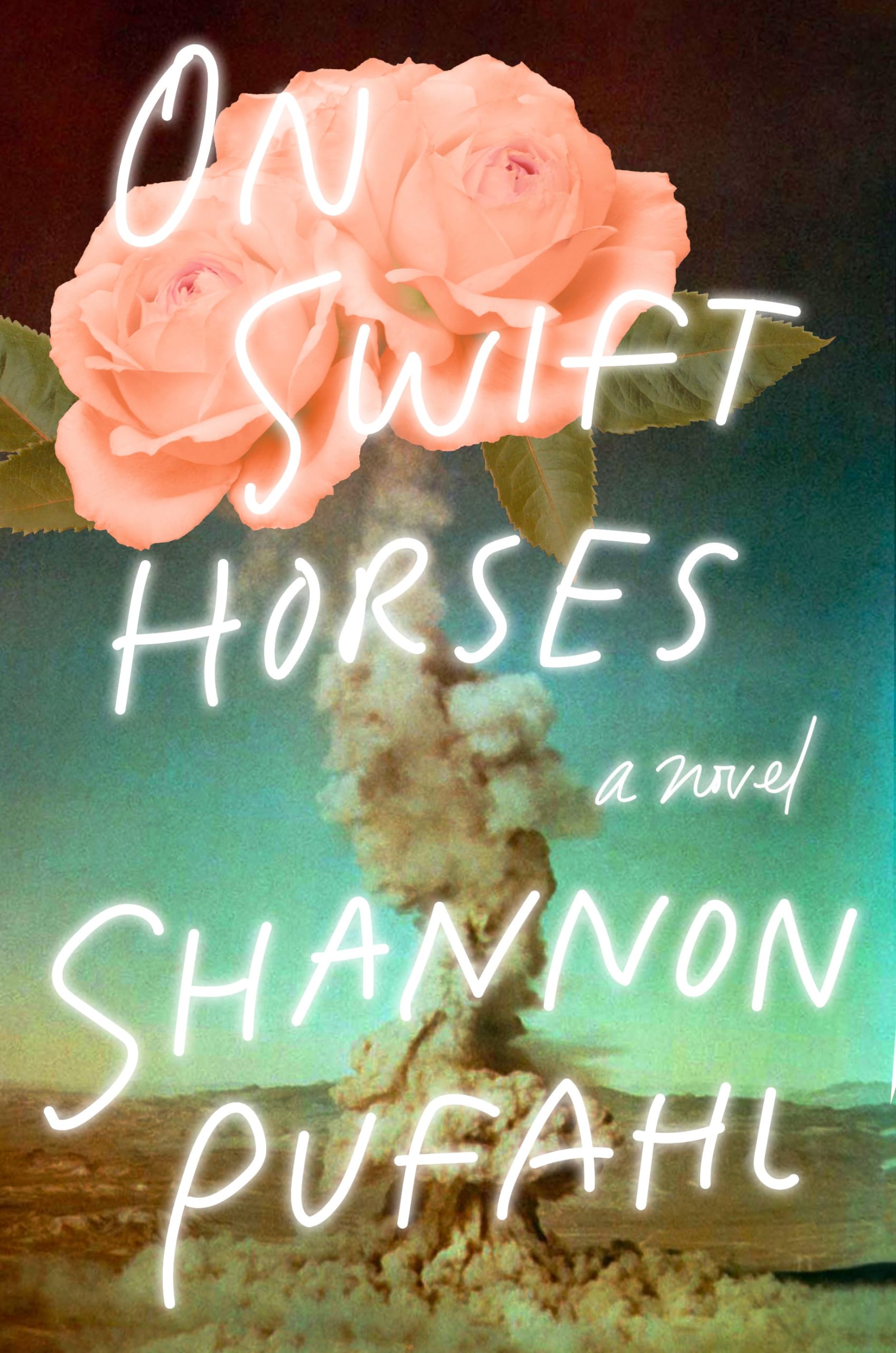 On Swift Horses: A Novel,Used