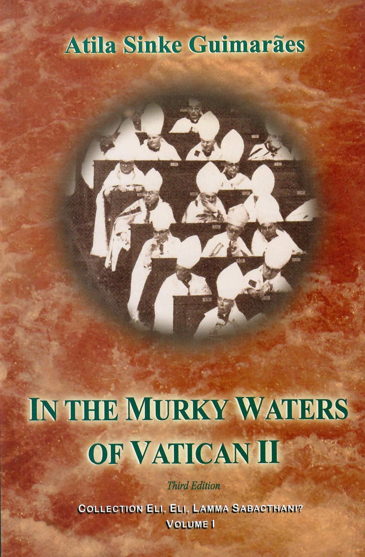 In The Murky Waters of Vatican II by Atila Sinke Guimaraes (2008) Paperback,Used
