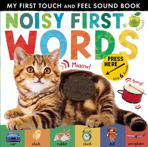 Noisy First Words: My First Touch and Feel Sound Book (My First Touch & Feel Sound Bk),Used