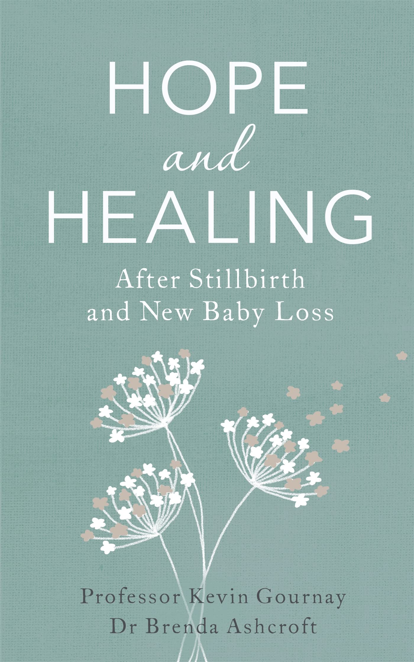 Hope And Healing After Stillbirth (Overcoming Common Problems)