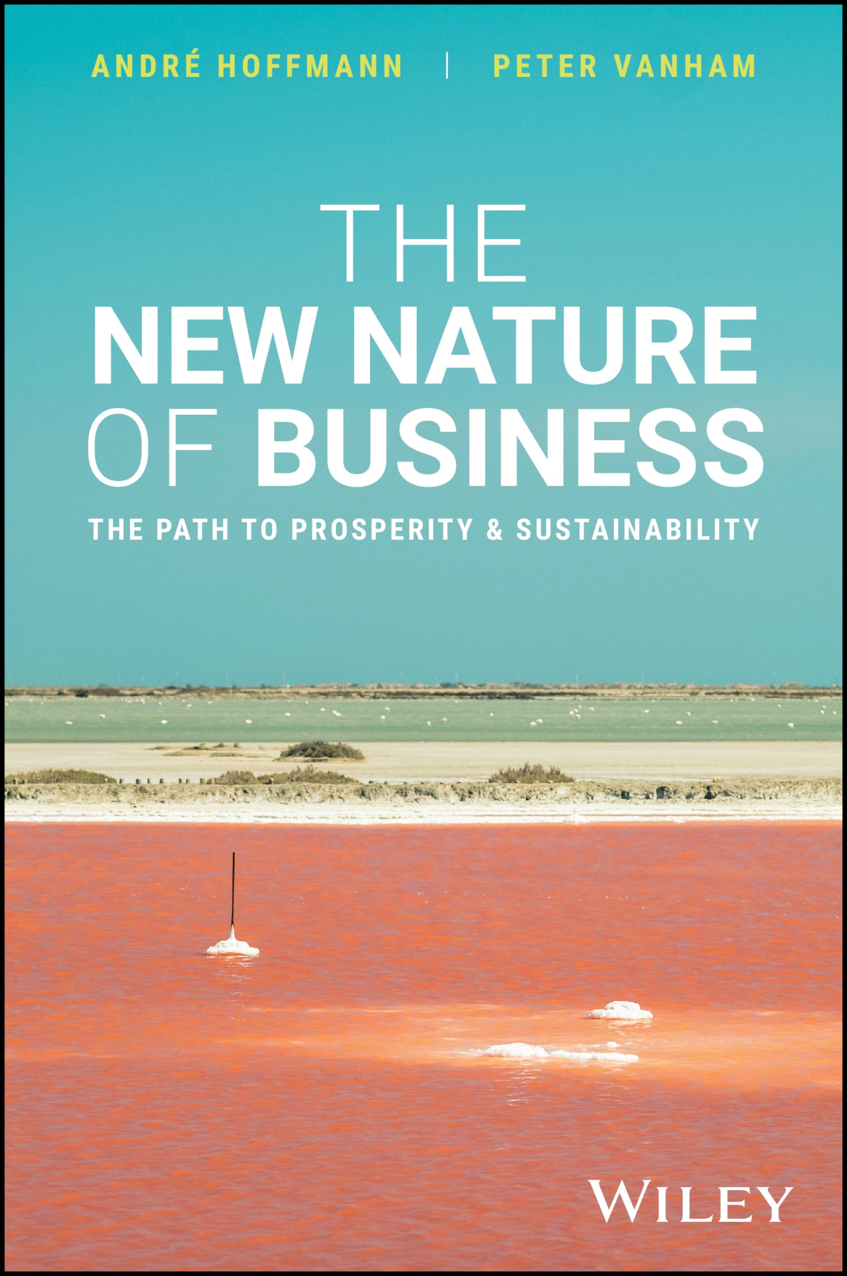 The New Nature Of Business: The Path To Prosperity And Sustainability
