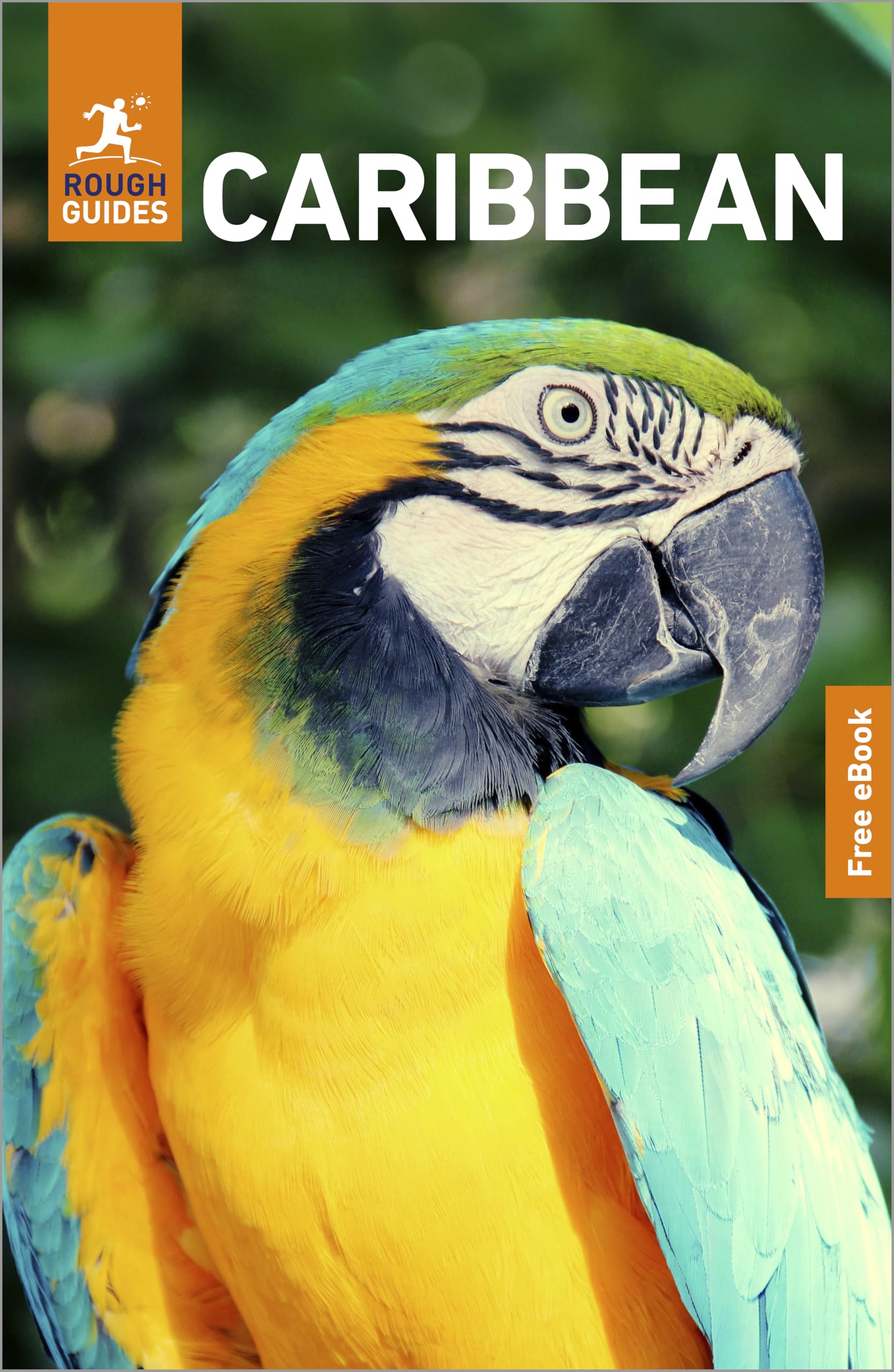 Rough Guides Caribbean: Travel Guide With Ebook (Rough Guides Main Series)