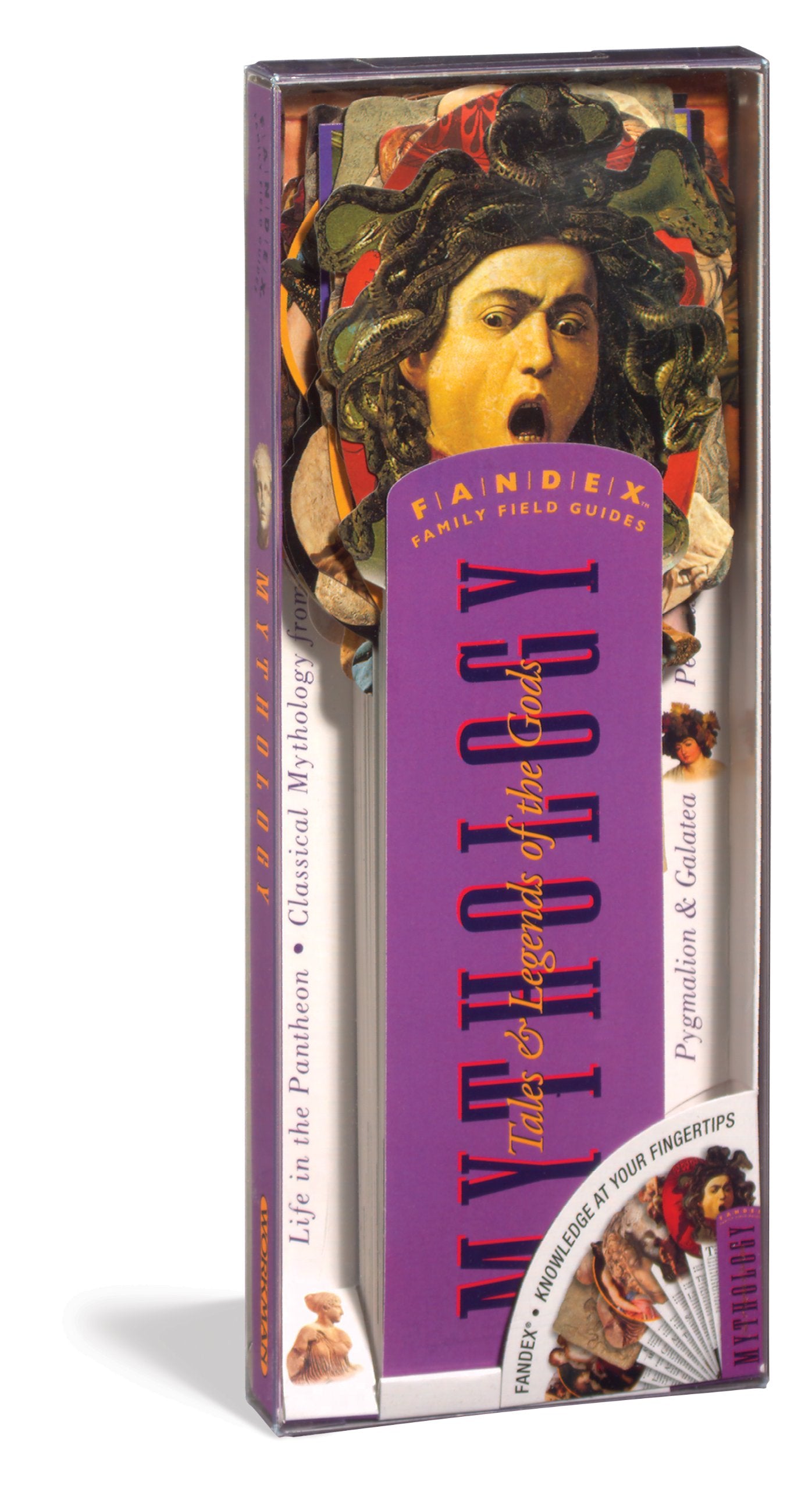 Mythology: Tales & Legends Of The Gods (Fandex Family Field Guides)