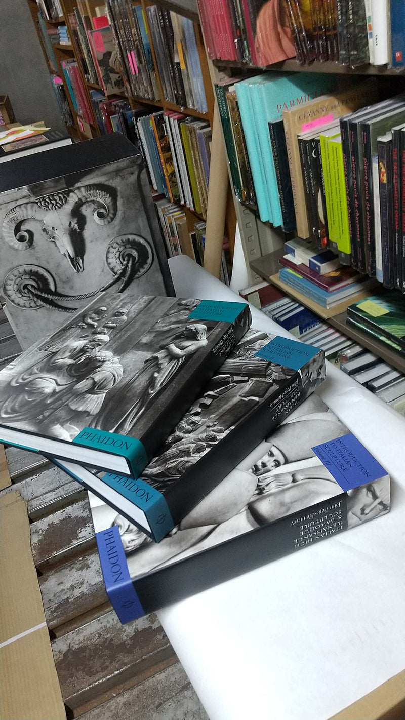 Introduction to Italian Sculpture Boxset,Used