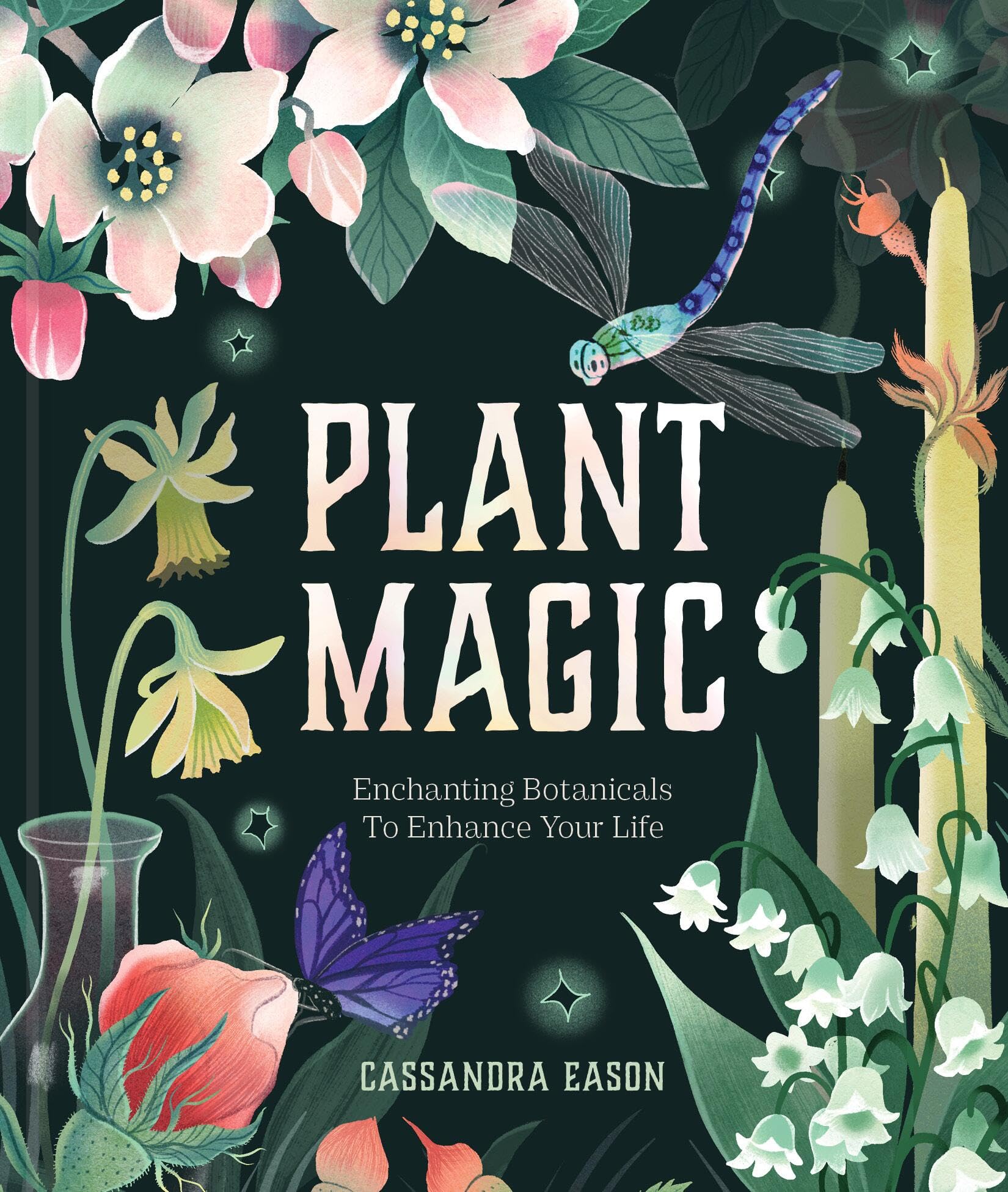 Plant Magic: Enchanting Botanicals To Enhance Your Life